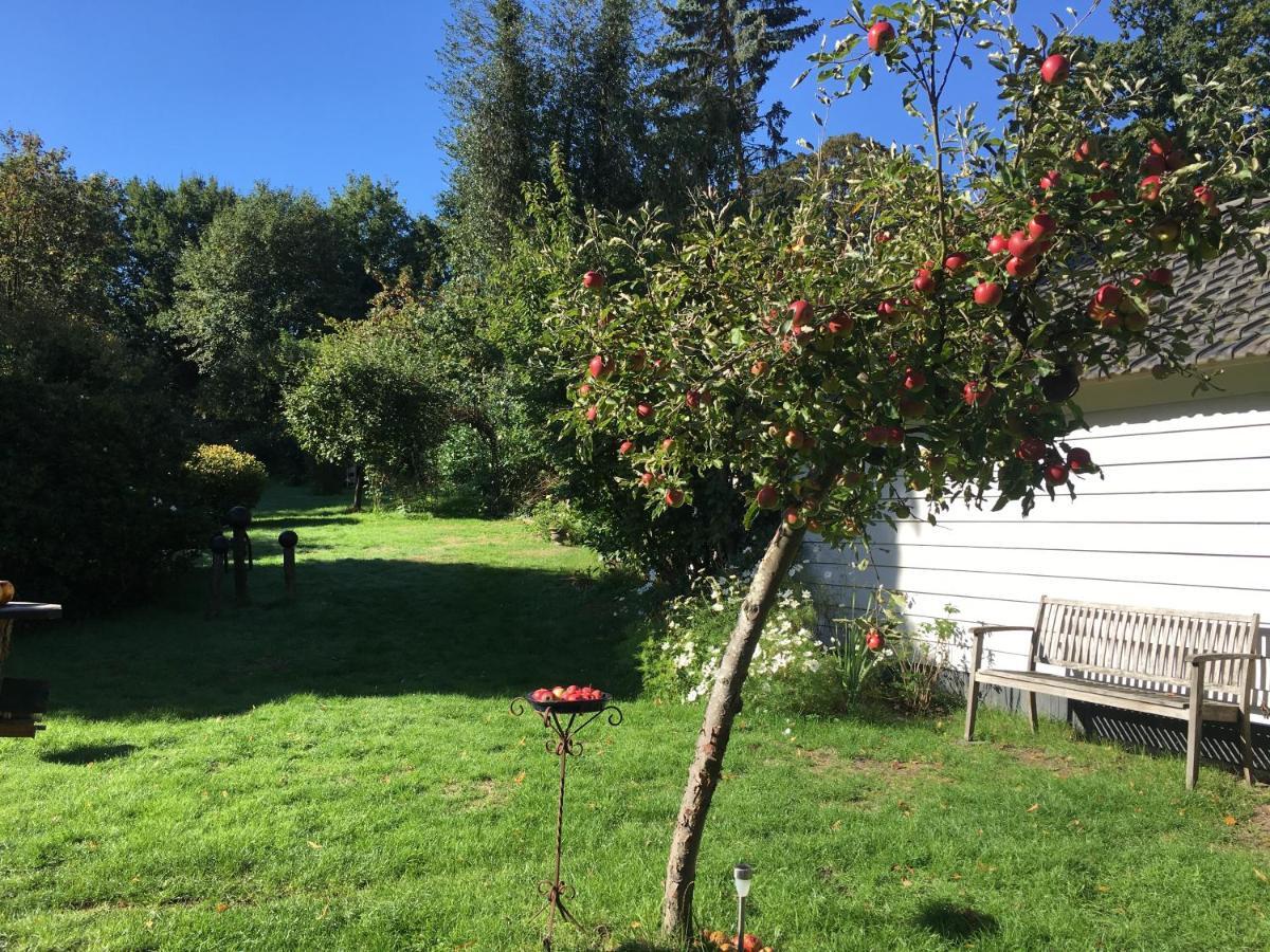 Natuurhuisje Heerlijkheid Beek Berg en Dal Dış mekan fotoğraf
